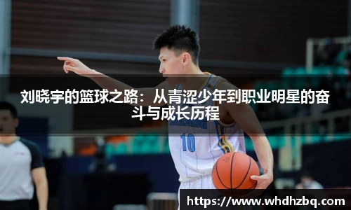 v66官网刘晓宇的篮球之路：从青涩少年到职业明星的奋斗与成长历程